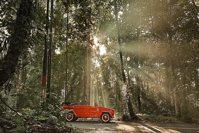 Explore Bali's Hidden Gems In a Classic Vw Convertible - Tirta Empul Temple: holy spring water and the sarong requirement