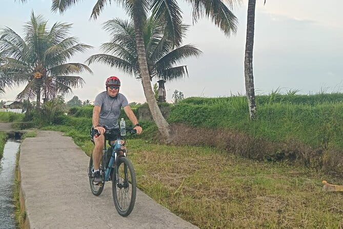 Explore Rice Fields and Hidden Villages with Ubud E-Bike Tour - Balinese lunch and the small included comforts that matter