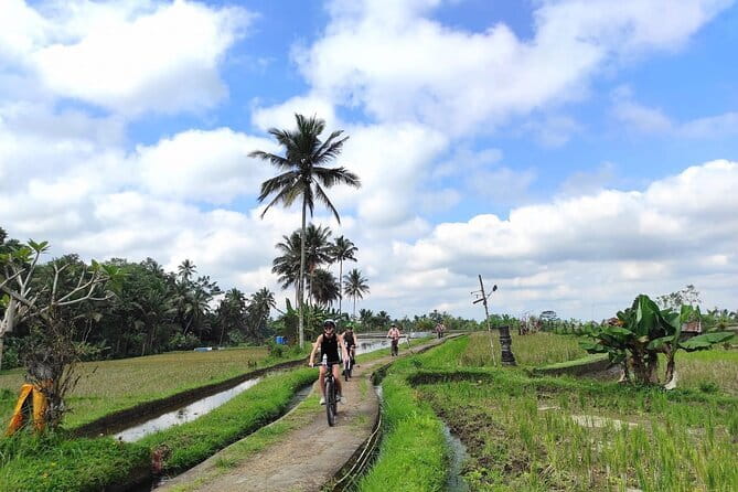 Explore Rice Fields and Hidden Villages with Ubud E-Bike Tour - Guides, family-run energy, and the tone of the experience