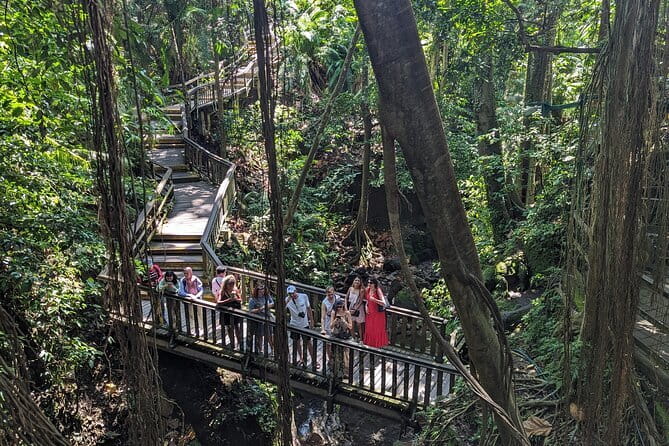Explore Ubud Art Market, Monkey Forest and Rice Terraces - How the Ubud Day Loop Works (And Why It Makes Sense)