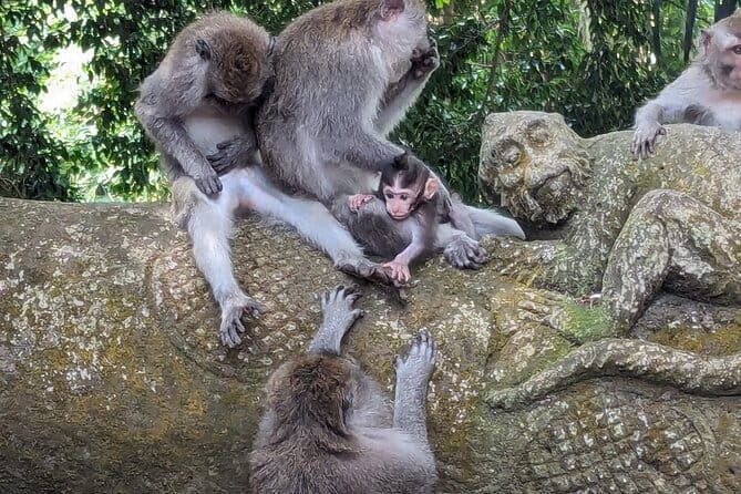 Explore Ubud Art Market, Monkey Forest and Rice Terraces - Stop 2: Ubud Art Market Plus the Palace Area