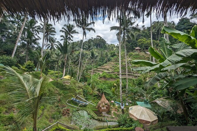 Explore Ubud Art Market, Monkey Forest and Rice Terraces - Pickup, Mobile Tickets, and Staying Comfortable