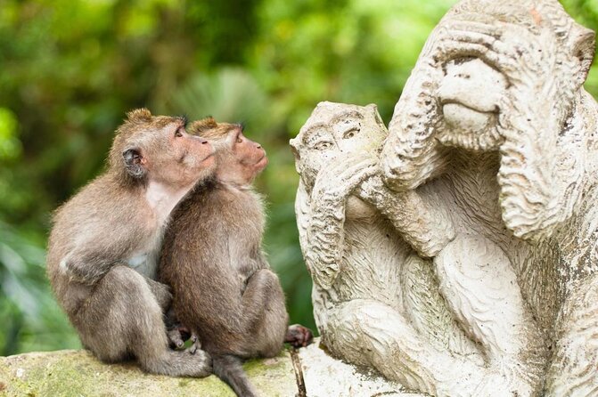 Explore Ubud with an English Speaking Driver/Guide - Key highlights you’ll feel right away