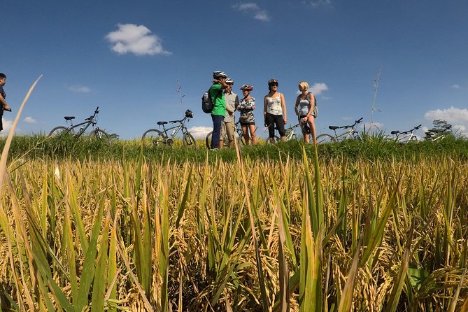 Explore Ubud with Electric Bike - Gear and Safety: What’s Included, and How That Helps You