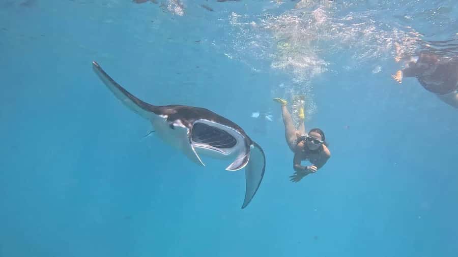 From Bali: Nusa Penida Private Snorkeling and Land Tour - Key things to know before you go