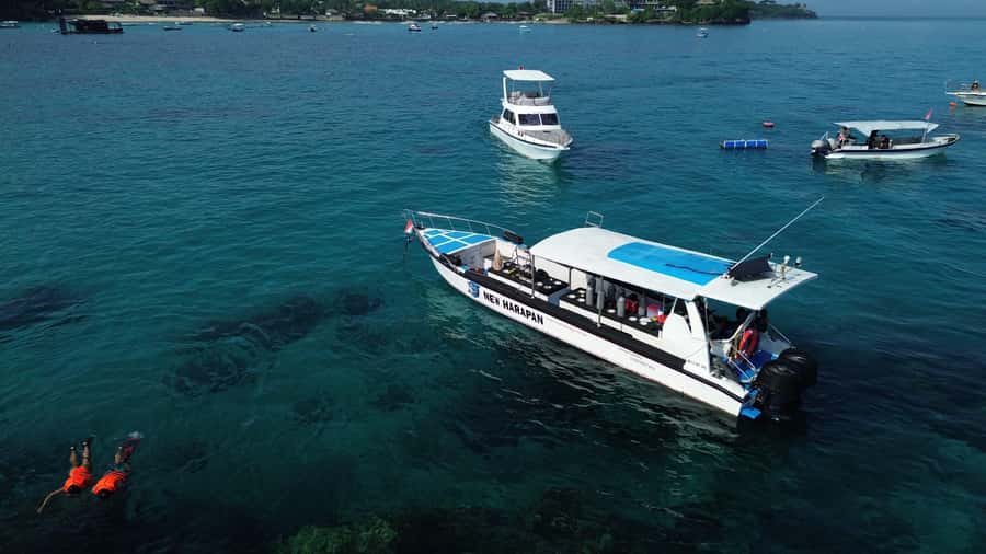 From Bali: Nusa Penida Private Snorkeling and Land Tour - Should you book this Nusa Penida Private Snorkeling and Land Tour?