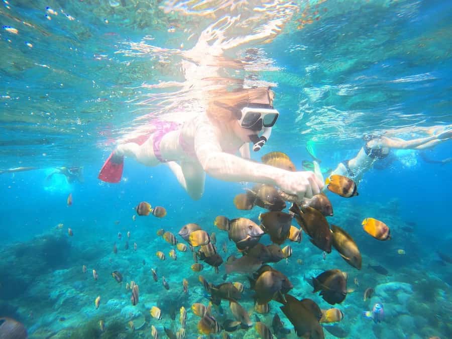 From Bali: Nusa Penida Private Snorkeling and Land Tour - The Nusa Penida recipe: reefs first, cliffs after
