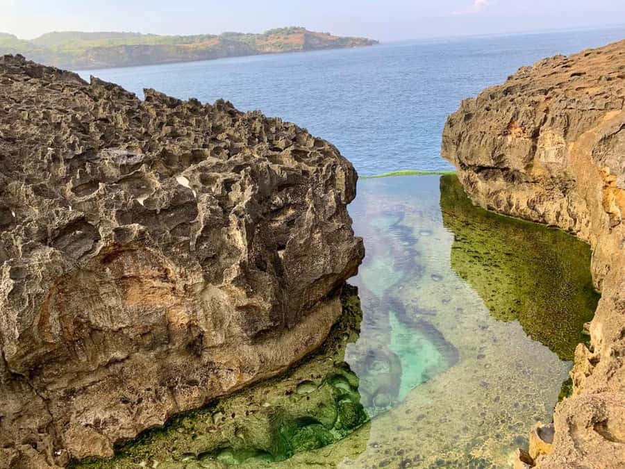 From Bali: Nusa Penida Private Snorkeling and Land Tour - Lunch on Nusa Penida: fuel for a physically active day