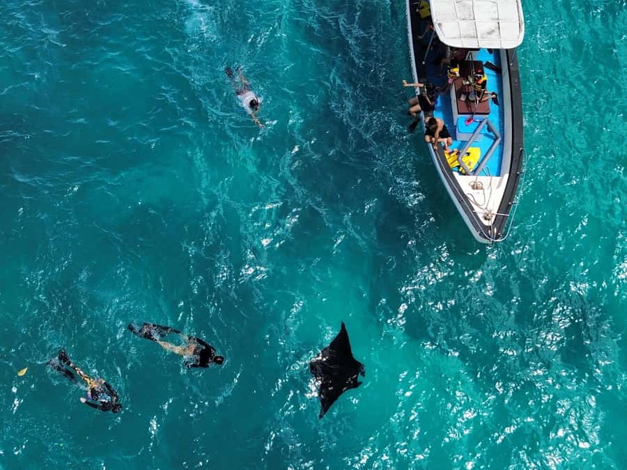 From Bali: Nusa Penida Private Snorkeling and Land Tour - Price and value: what you get for about $108 per person