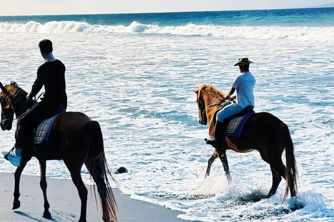 From Ubud 1 Hour Horse Riding at The Beach Experiences - Ubud pickup to Saba Beach: turning travel time into part of the day