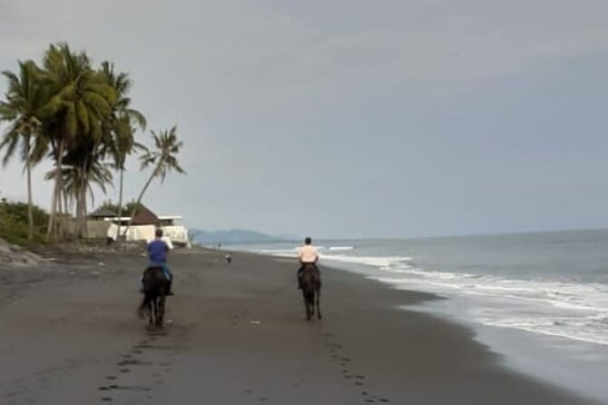 From Ubud 1 Hour Horse Riding at The Beach Experiences - The one-hour ride: what it feels like, minute by minute