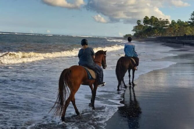 From Ubud 1 Hour Horse Riding at The Beach Experiences - Private means personal: how your group size changes the experience