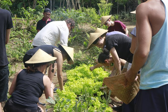 From Ubud: Authentic Bali Farm Cooking School & Organic Farm - Take-home recipe book: how you turn a cooking class into real cooking at home