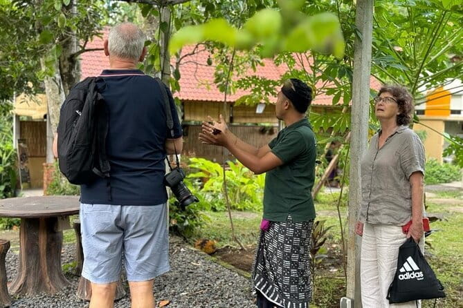 From Ubud: Authentic Cooking Class Visit Traditional Market - Farm tour context: why food origin changes the flavor story