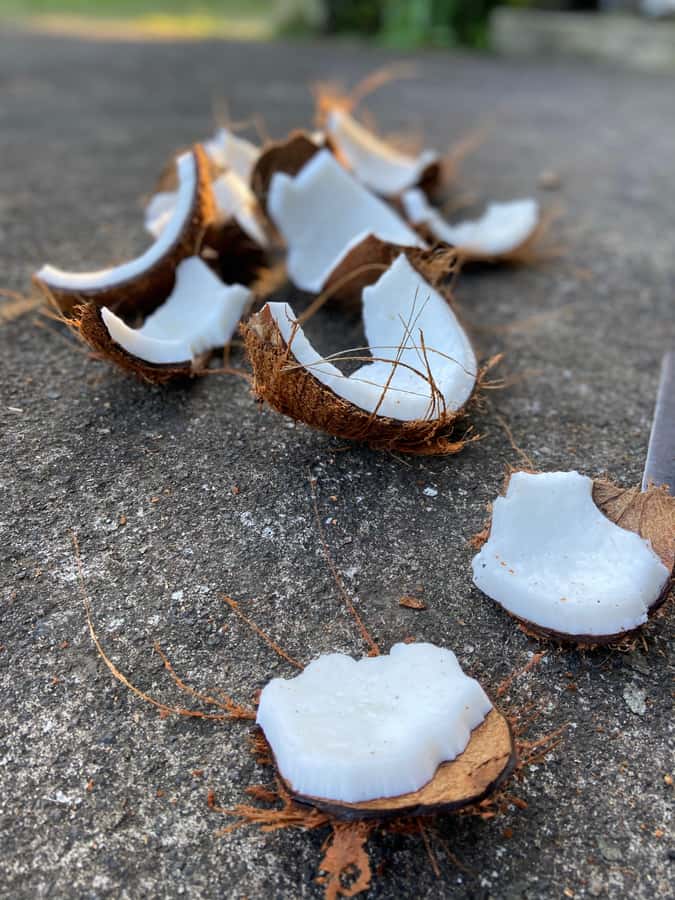 From Ubud: Traditional Bali Coconut Oil Class - While the Oil Cooks: Herbal Tea, Traditional Snacks, and Feeding the Animals