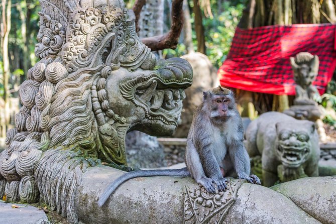 Full-Day Ayung River White Water Rafting and Ubud Tour - Sacred Monkey Forest Sanctuary: wild macaques and real rules