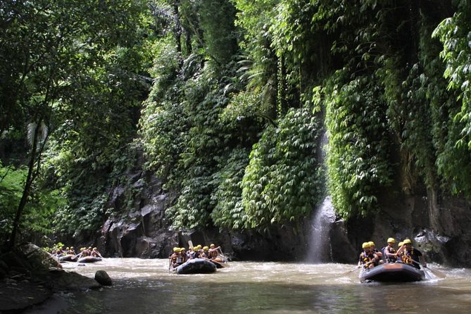 Full-Day Ayung River White Water Rafting and Ubud Tour - Tegenungan Waterfall: the green finale (and timing that can shift)