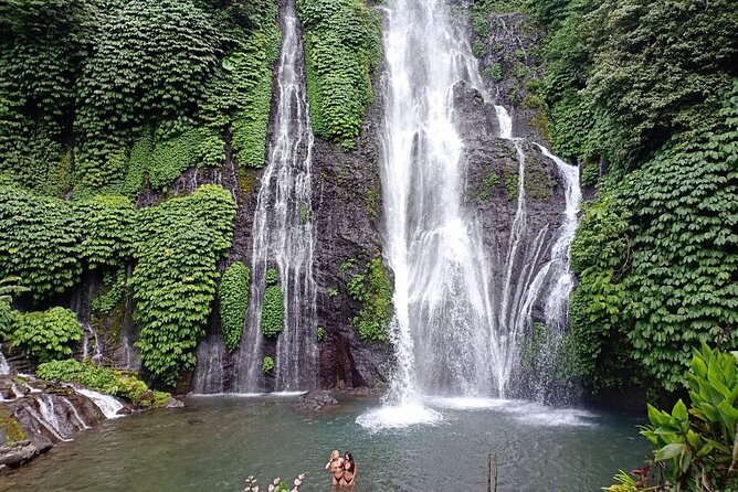 Full Day Bali North West Tour - Waterfall and Scenic Site - Price and value: $70 for an all-in, driver-led day