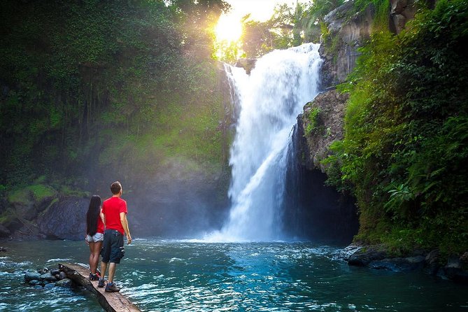 Full-Day in Bali: Amazing Ubud Tour - How the Optional Extra Stop Works (and How to Choose)