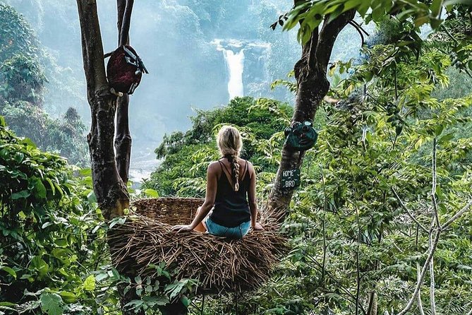Full-Day in Bali: Private Design-Your-Own Tour - Building your itinerary: temples, terraces, waterfalls, and the fun stuff