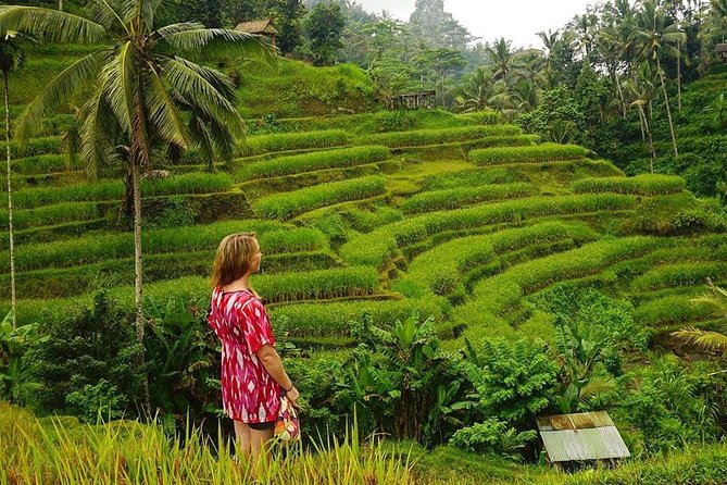 Full-Day in Bali: Private Design-Your-Own Tour - How the route options shape your whole day