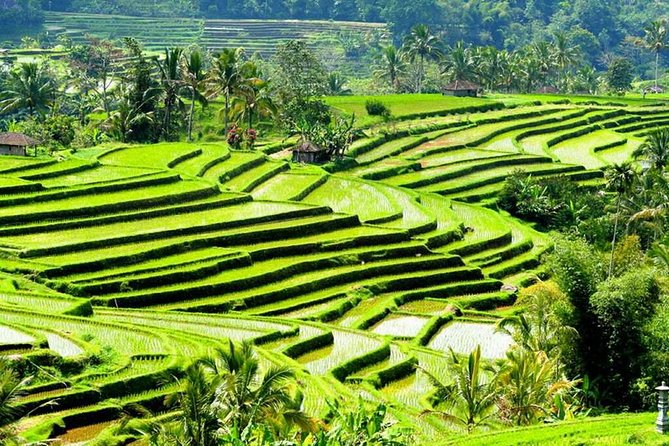 Full-Day Private Cultural Bali Tour + Balinese Driver - Padang Padang, Uluwatu Temple, and the 6pm Kecak show