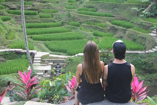 Full-Day Private Cultural Bali Tour + Balinese Driver - Tanah Lot to Jatiluwih: offshore mythology and UNESCO terraces