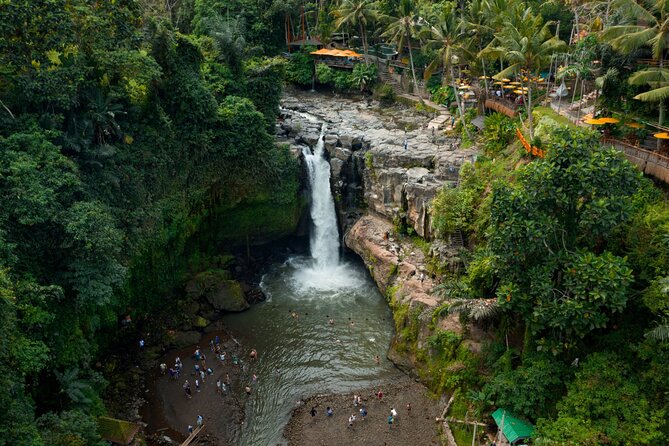 Full Day Private Guided Tour to Bali - Tegalalang Rice Terrace: the cliff views and how to use your 45 minutes