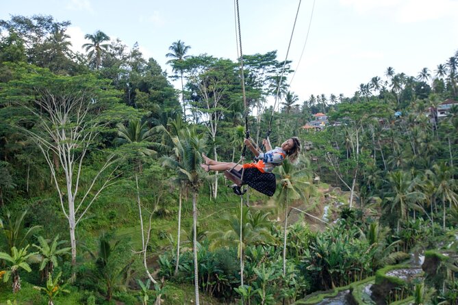 Full Day Private Guided Tour to Bali - Sacred Monkey Forest Sanctuary: seeing monkeys without stress
