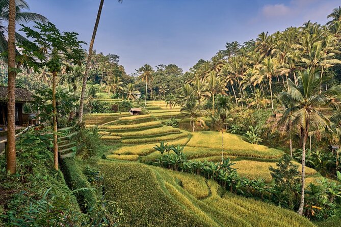 Full Day Private Guided Tour to Bali - Tegenungan Waterfall: photos, jungle air, and a realistic visit length