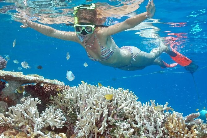 Full-Day Tour in Nusa Penida Island + Snorkeling Experience - Key takeaways before you go