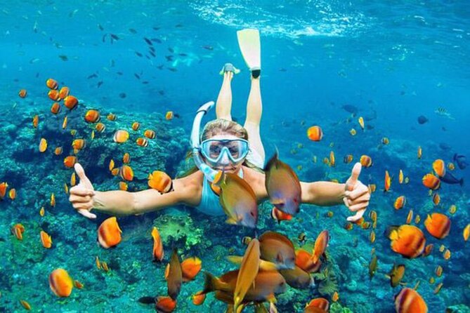 Full-Day Tour in Nusa Penida Island + Snorkeling Experience - Kelingking Beach: the famous headland moment