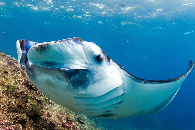Full-Day Tour in Nusa Penida Island + Snorkeling Experience - Diamond Beach and Atuh Beach: two different kinds of drama