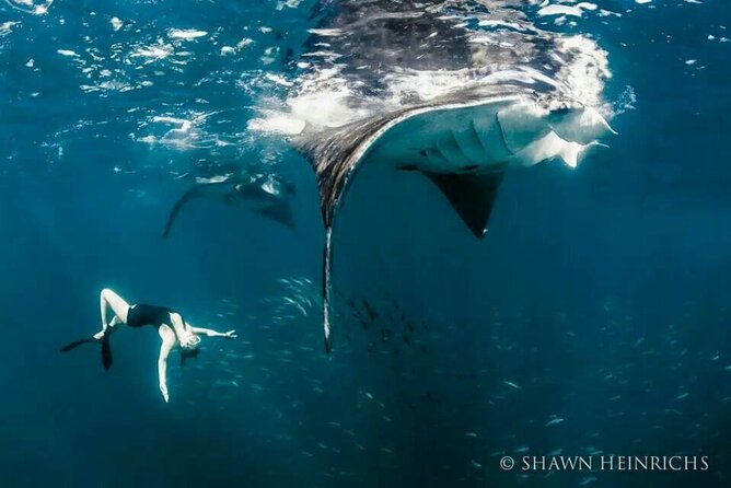 Full-Day Tour in Nusa Penida Island + Snorkeling Experience - Price and value: is $45 a good deal?