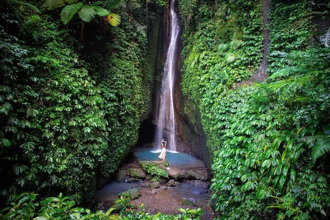 Full-Day Tour to Water Temples and UNESCO Rice Terraces in Bali - Jatiluwih UNESCO Rice Terraces and the Subak Water System