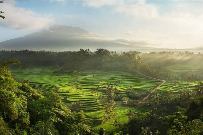 Full Day Tour to Water Temples UNESCO Rice Terraces in Bali - UNESCO Subak: The Practical Story Behind the Rice Fields