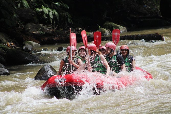Full-Day Tour: White Water Rafting and Highlight of Ubud with All-inclusive - Getting to the rafting start fast: why the morning setup matters