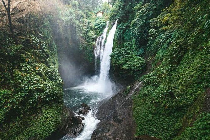 Full day Ubud and Tanah Lot tour - Price, timing, and what $57 really includes