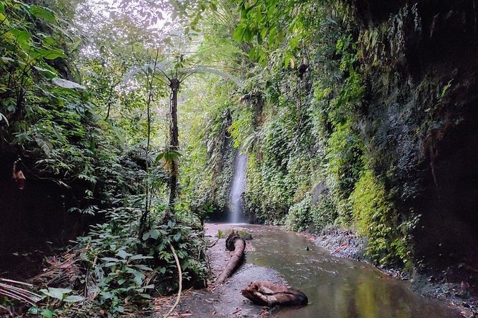 Get wet on Bali's most stunning waterfalls - Tukad Cepung: walking into the jungle to see the waterfall from inside