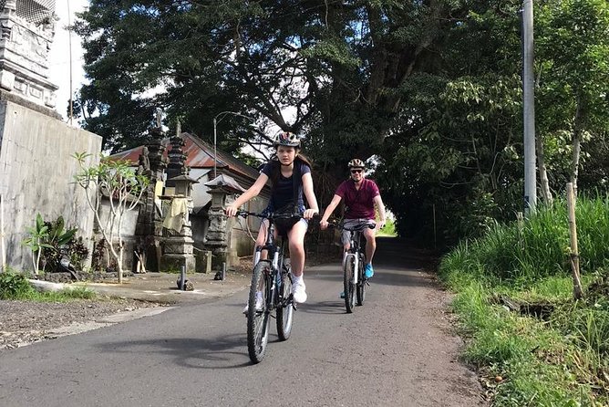 Half Day Cycling Tour ( Manual Bike ) - Lunch at Greenkubu Restaurant and Swing: the payoff meal