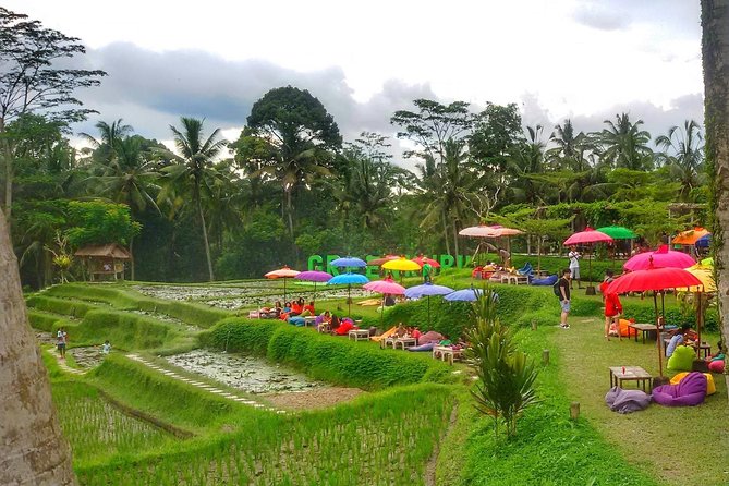Half Day Cycling Tour ( Manual Bike ) - Should you book this half-day cycling tour?