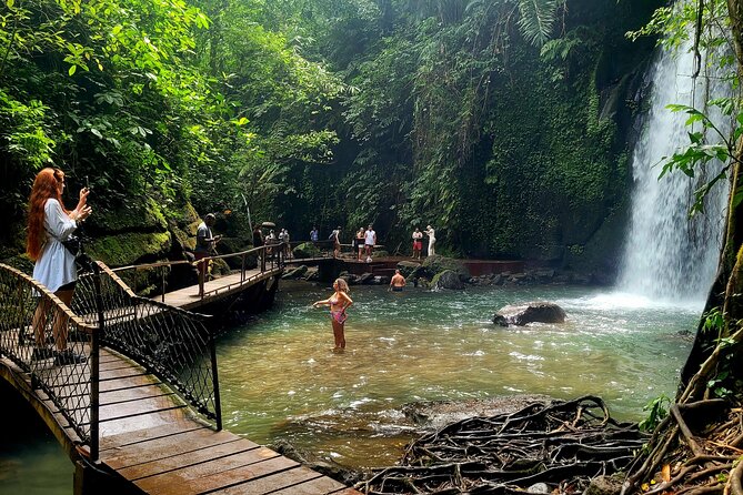 Half Day Tour Ubud Rice Terrace with Activities and Waterfall - Key Highlights You’ll Actually Care About