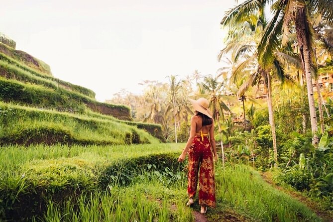 Half Day Tour Ubud Rice Terrace with Activities and Waterfall - Abian Desa Rice Terrace: Included Views With Optional Swing or Zipline