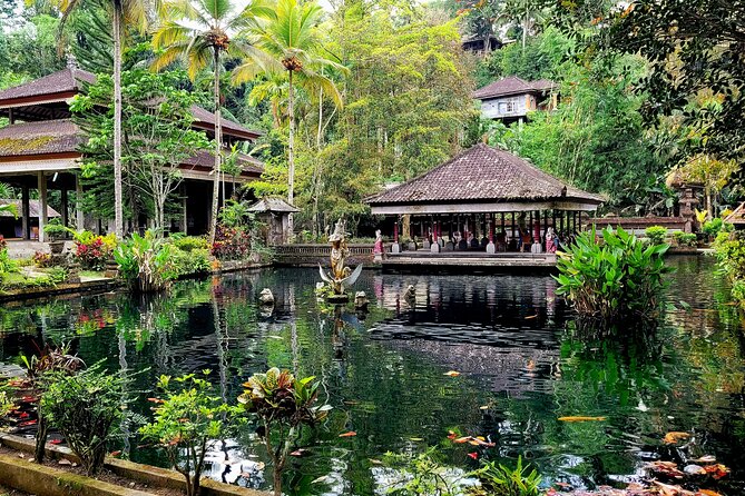 Half Day Tour Ubud Rice Terrace with Activities and Waterfall - Price and Value: What You’re Really Buying for $17.66