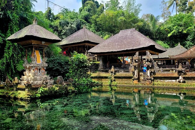 Half Day Tour Ubud Rice Terrace with Activities and Waterfall - Optional Add-Ons: Plantation, Rice-View Restaurant, or a Temple