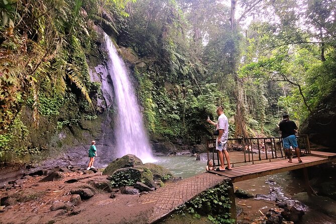 Half Day Tour Ubud Rice Terrace with Activities and Waterfall - Abian Desa Rice Terrace: Included Views With Optional Swing or Zipline
