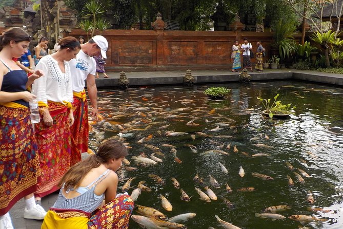 Half-Day Ubud Electric Cycling Tour to Tirta Empul Water Temple - Ubud on an e-bike: why this works better than scooters or walking