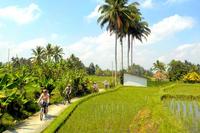 Half-Day Ubud Electric Cycling Tour to Tirta Empul Water Temple - Tirta Empul Water Temple: what to expect in the 45-minute visit