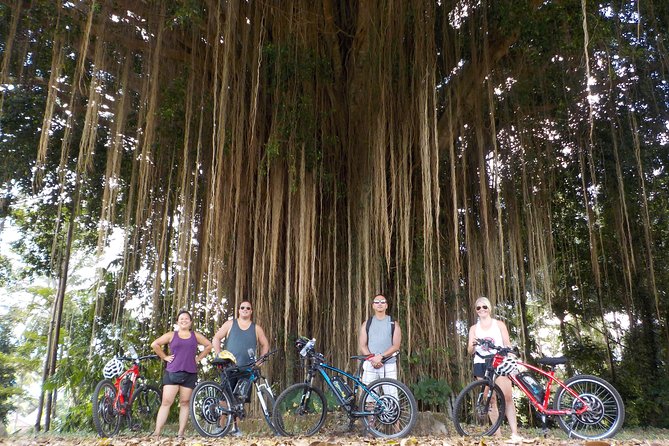 Half-Day Ubud Electric Cycling Tour to Tirta Empul Water Temple - Guides and safety: the part that makes or breaks an e-bike tour