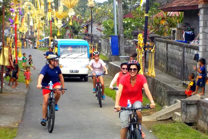Half-Day Ubud Electric Cycling Tour to Tirta Empul Water Temple - Price and value: is $49 fair for what you get?